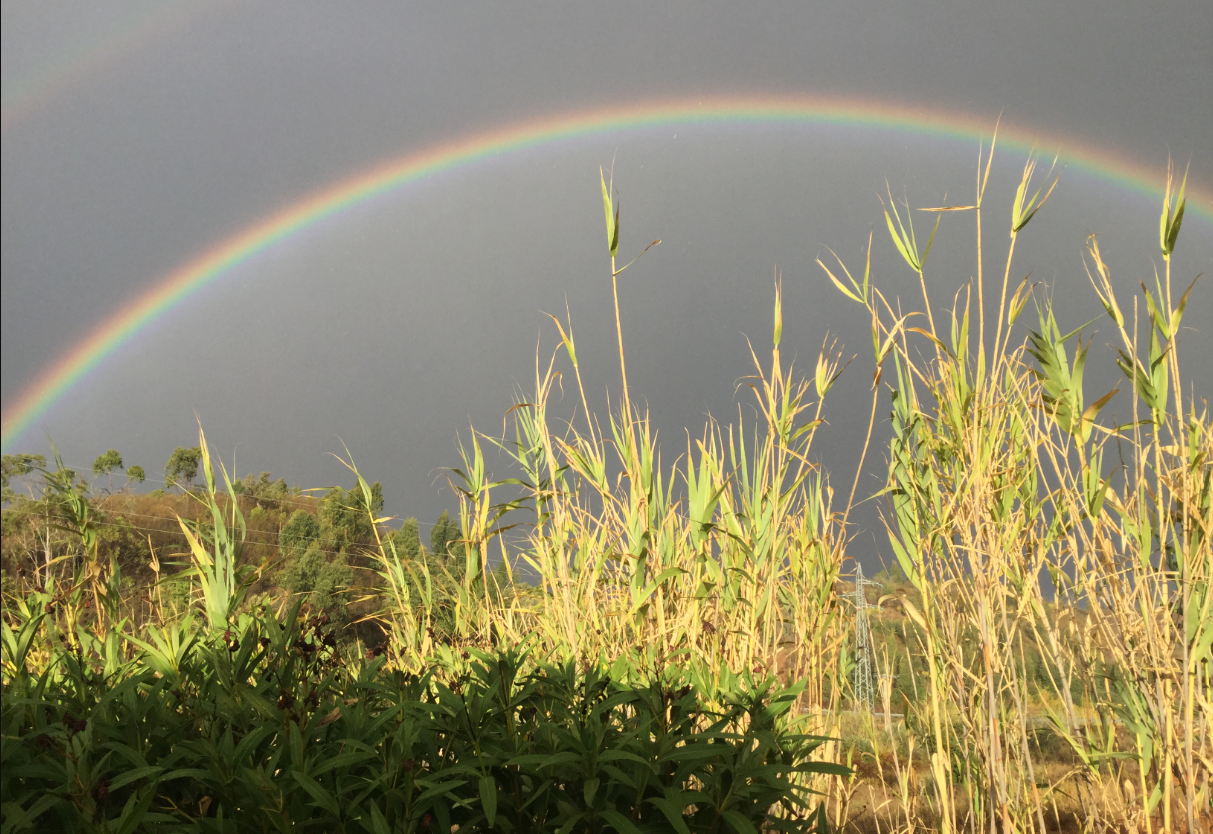 Over the Rainbow