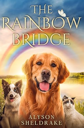 The Rainbow Bridge by Alyson Sheldrake