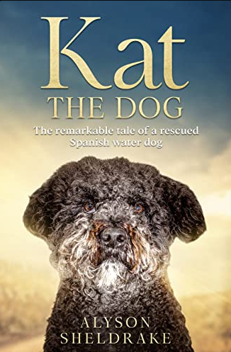 For more pet stories