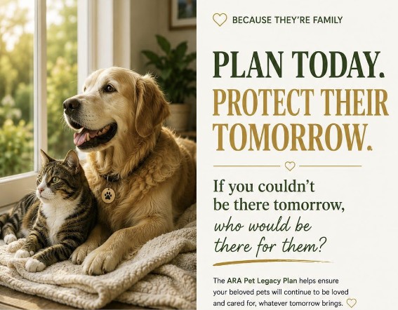 Plan Today