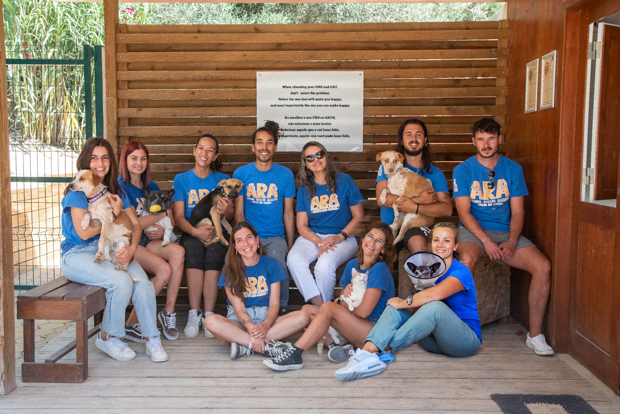 Meet The Team